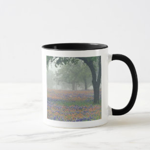 Caneca EUA, Texas. Pincel e bluebonnets do Texas