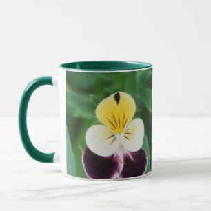 Caneca EUA, Utah, Cache Valley, Johnny Jump Up