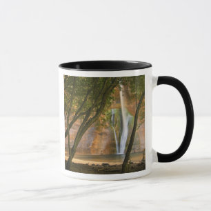 Caneca EUA, Utah, Escalante Wilderness. Uma vista de