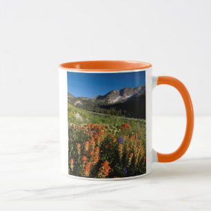 Caneca EUA, Utah, Floresta Nacional Uinta-Wasatch-Cache