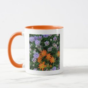 Caneca EUA, Utah, Floresta Nacional Uinta-Wasatch-Cache 3