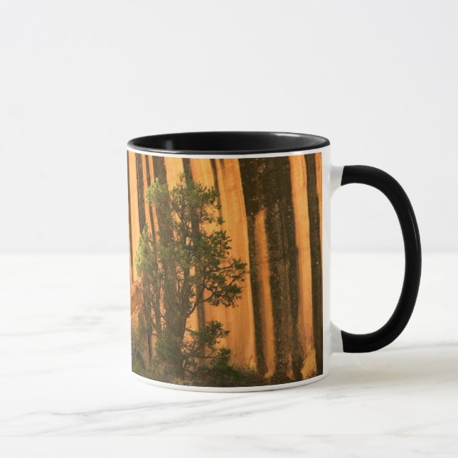 Caneca EUA, Utah, Parque Nacional Capitol Reef (Direita)