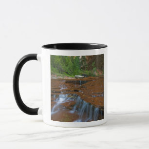 Caneca EUA, Utah, Parque Nacional de Zion. Cênico a parti