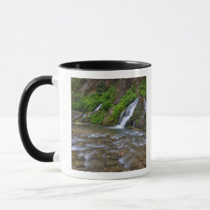 Caneca EUA, Utah, Parque Nacional de Zion. Grandes Nasce