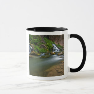 Caneca EUA, Utah, Parque Nacional de Zion. O Virgin