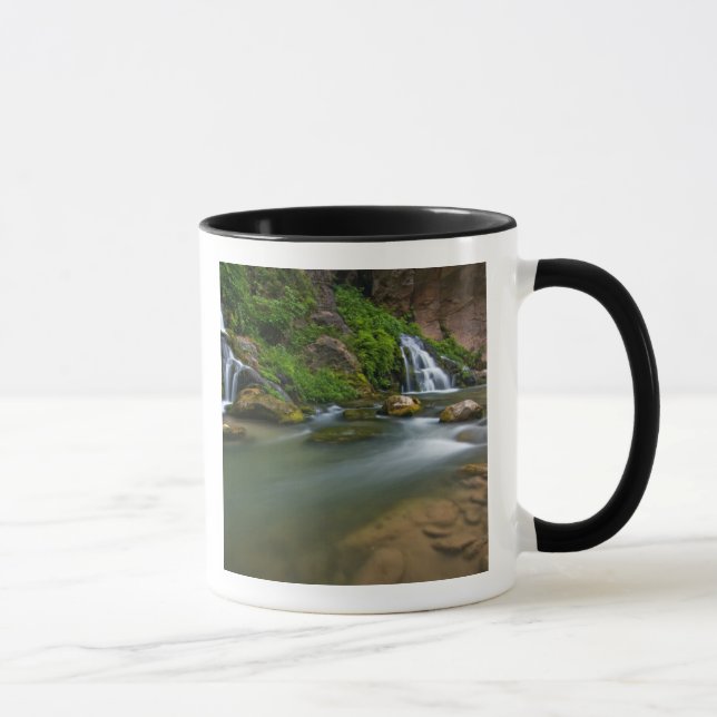 Caneca EUA, Utah, Parque Nacional de Zion. O Virgin (Direita)