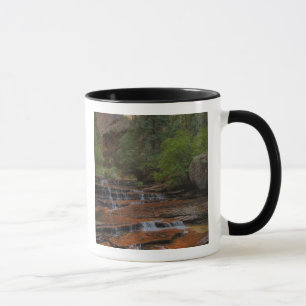 Caneca EUA, Utah, Parque Nacional Zion. Cênico a partir