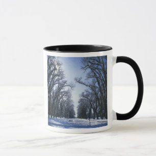 Caneca EUA, Utah, Salt Lake City, Liberty Park,