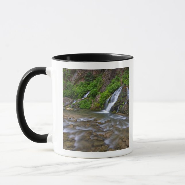 Caneca EUA, Utah, Zion National Park.  Grandes Primaveras (Esquerda)