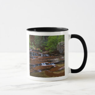 Caneca EUA, Utah, Zion National Park. Scenico de 4