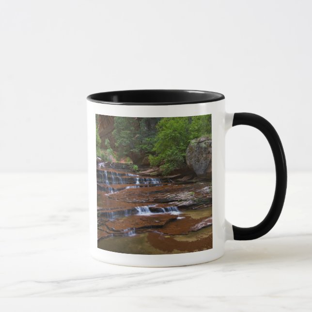 Caneca EUA, Utah, Zion National Park. Scenico de 4 (Direita)
