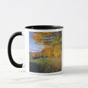 Caneca EUA, Vermont, Jenne Farm. Outono chega a Jenne