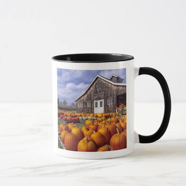 Caneca EUA, Vermont, Shelbourne, abóboras (Direita)