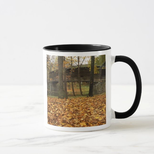 Caneca EUA, Virgínia, Covington, Humpback Coberta (Direita)