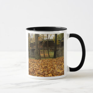 Caneca EUA, Virginia, Covington, Humpback coberto