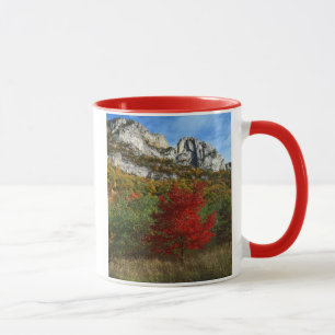 Caneca EUA, Virgínia Ocidental, Spruce Knob-Seneca Rocks