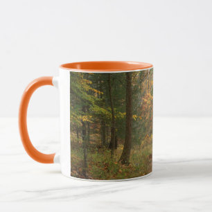 Caneca EUA, Virgínia, Outono no Douthat State Park