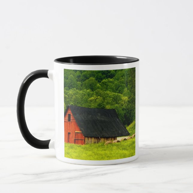 Caneca EUA, Virgínia, Parque Nacional Shenandoah, 2 (Esquerda)