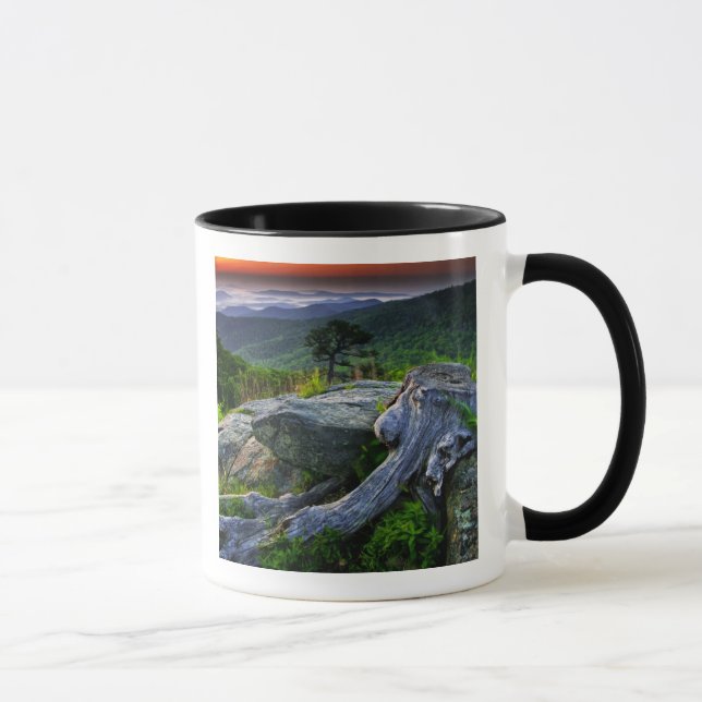 Caneca EUA, Virginia, Shenandoah National Park. (Direita)