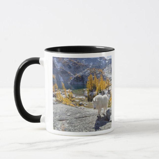 Caneca EUA, WA, latrinas de WIlderness dos Alpes. (Esquerda)