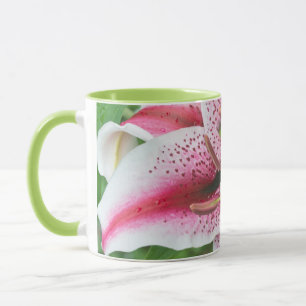 Caneca EUA, Washington, Bellevue, Lírio