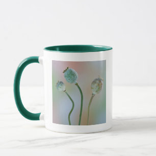 Caneca EUA, Washington. Close-Up De Semente Colorida De P