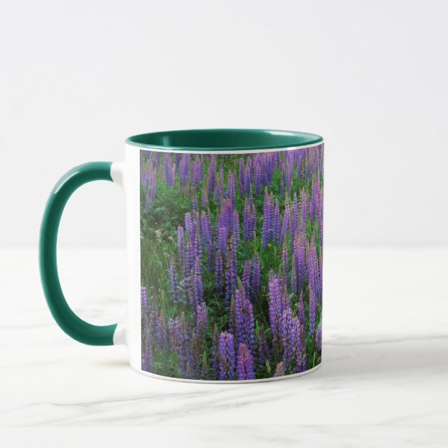 Caneca EUA, Washington, Condado de Clallam, Lupine (Esquerda)