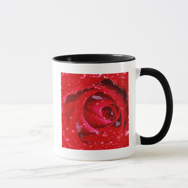 Caneca EUA, Washington, Condado de Spokane, Parque Manito (Direita)