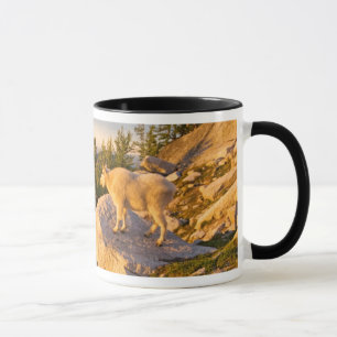 Caneca EUA, Washington, Cordilheira das Cascatas 4