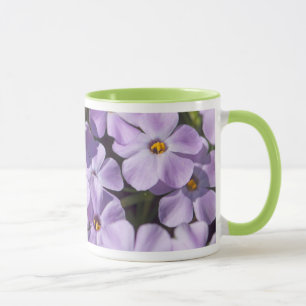 Caneca EUA, Washington, Cordilheira das Cascatas 6
