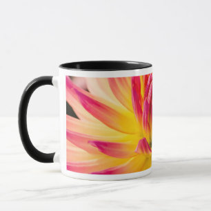 Caneca EUA, Washington. Detalhe da Flor de Dália