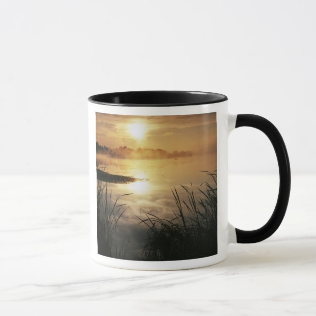 Caneca EUA, Washington, Lopez Island, Nevoeiro da manhã e (Direita)