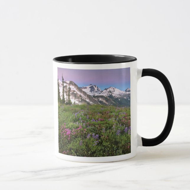Caneca EUA, Washington, Montanhas Cascade, Norte (Direita)