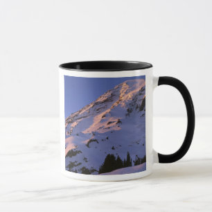 Caneca EUA, Washington, Monte Rainier National Park