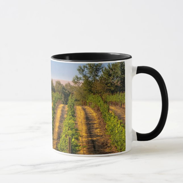Caneca EUA, Washington Oriental, Vinhas Walla Walla (Direita)