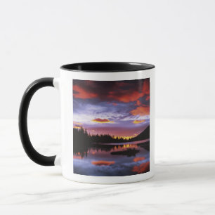 Caneca EUA, Washington, Parque Nacional Mt. Rainier,
