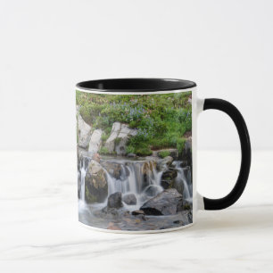 Caneca EUA, Washington, Parque Nacional Mt. Rainier 3