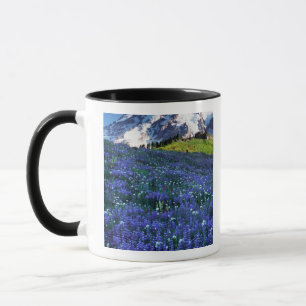 Caneca EUA, Washington, Parque Nacional Mt. Rainier. Mt.