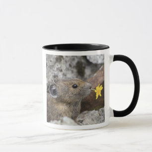 Caneca EUA, Washington, Parque Nacional North Cascades,