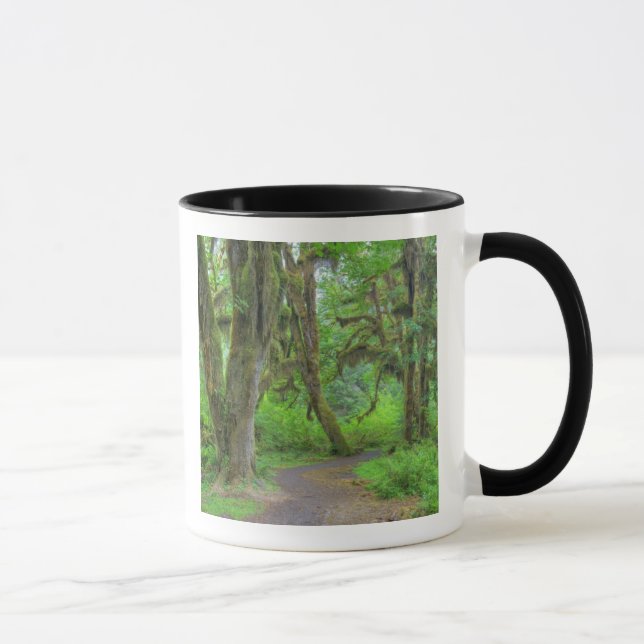Caneca EUA, Washington, Parque Nacional Olimpiadas, Hoh (Direita)