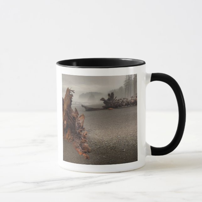 Caneca EUA, Washington, Parque Nacional Olimpiadas, Rialt (Direita)