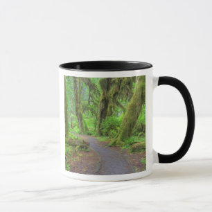 Caneca EUA, Washington, Parque Nacional Olímpico, Chuva d