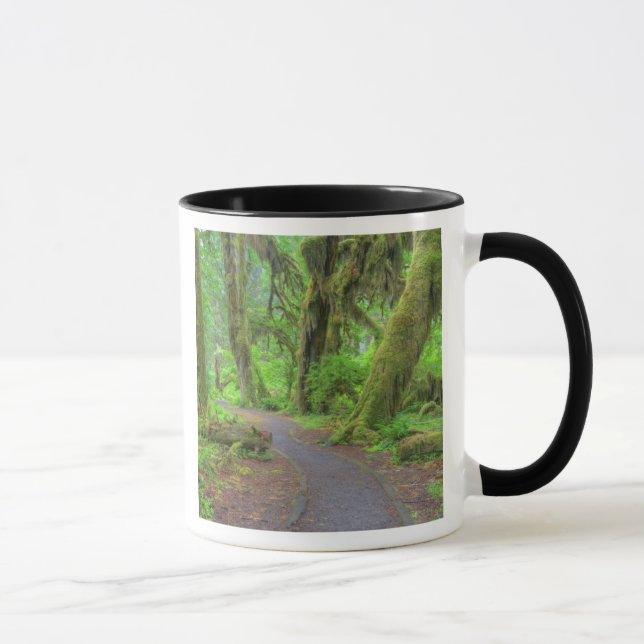 Caneca EUA, Washington, Parque Nacional Olímpico, Chuva d (Direita)
