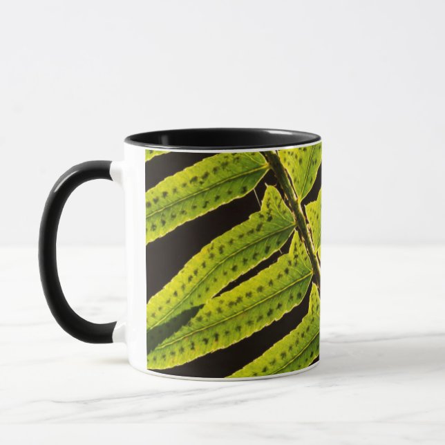 Caneca EUA, Washington, Parque Nacional Olímpico, Contral (Esquerda)