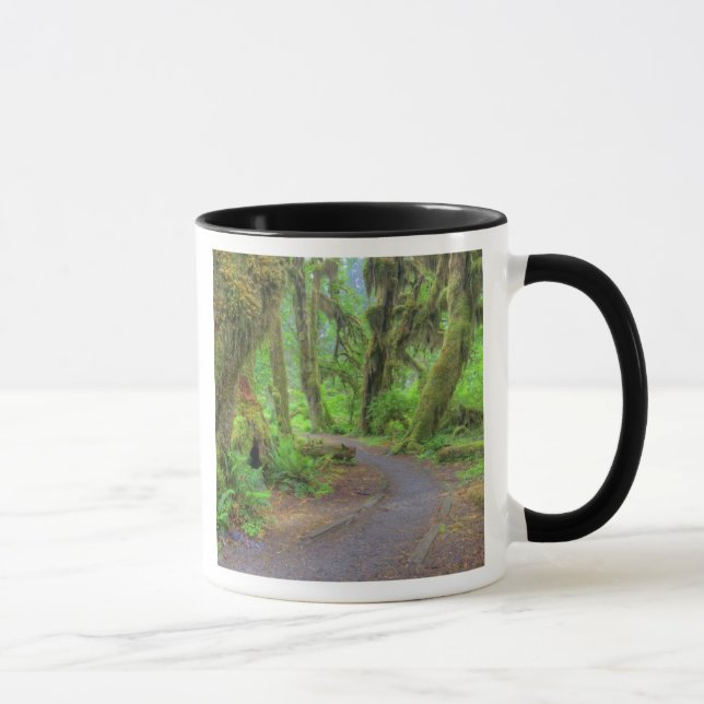Caneca EUA, Washington, Parque Nacional Olímpico, Hoh 2 (Direita)