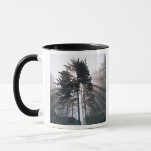 Caneca EUA, Washington, Parque Nacional Olímpico, Manhã