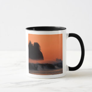 Caneca EUA, Washington, Parque Nacional Olímpico, Mar