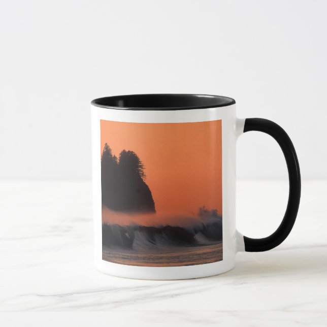 Caneca EUA, Washington, Parque Nacional Olímpico, Mar (Direita)