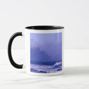 Caneca EUA, Washington, Parque Nacional Olímpico. Névoa