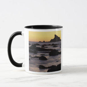 Caneca EUA, Washington, Parque Nacional Olímpico, Seastac